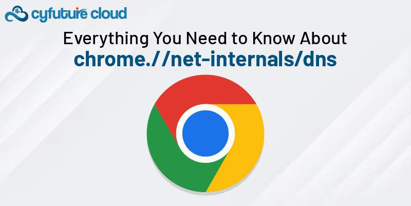 Chrome net internal dns